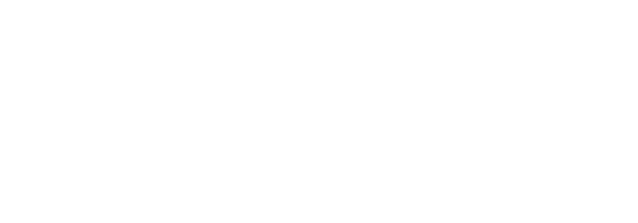 Vietberry Logo